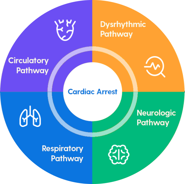 Custom chart with the cardiac arrest pathway wheel